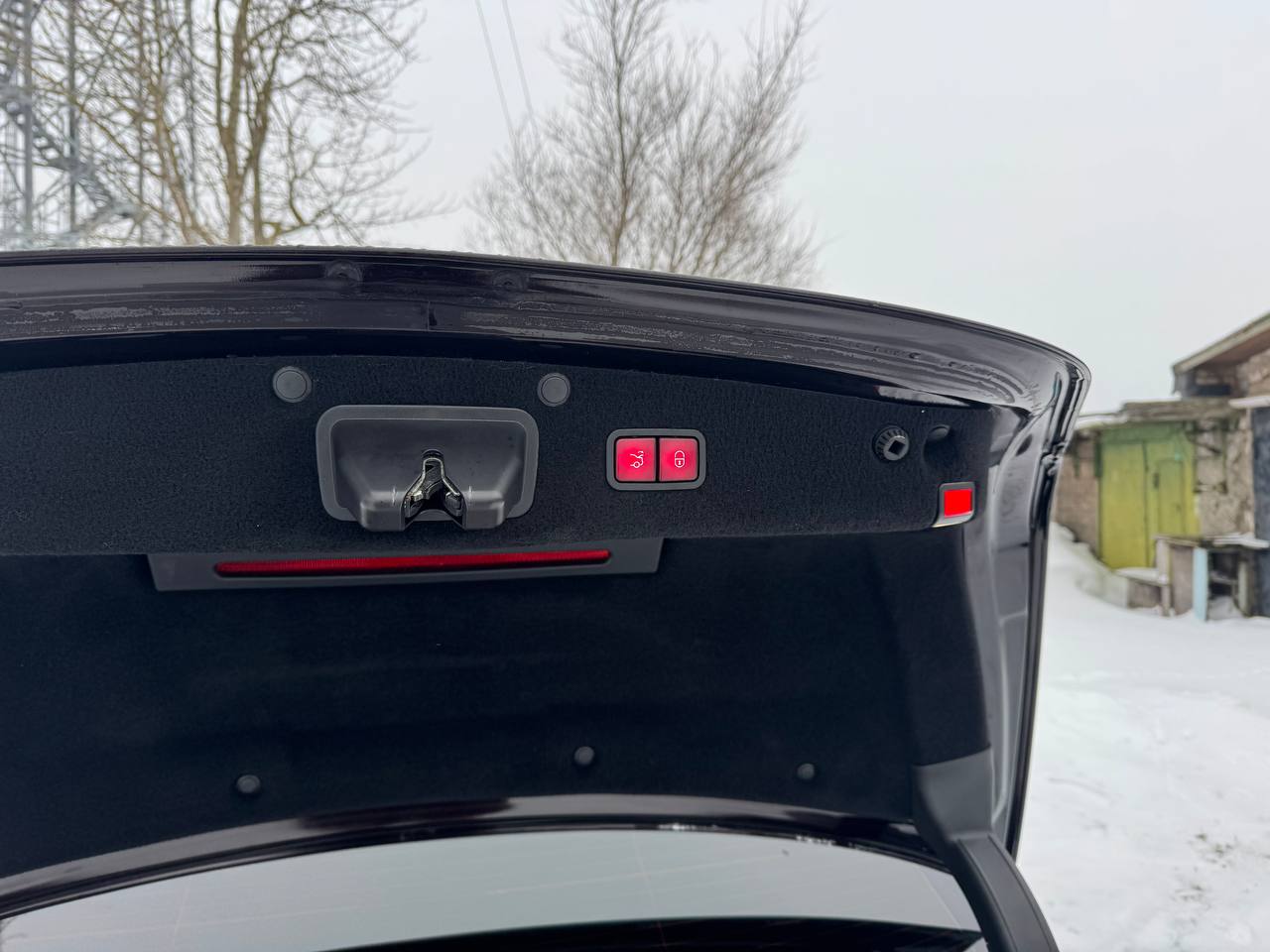 photo_2026-01-19_20-19-41